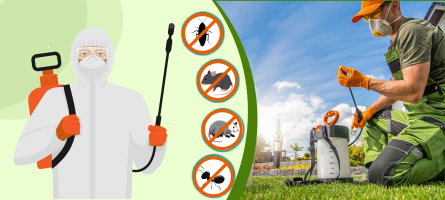 Emergency Pest Control Elsternwick